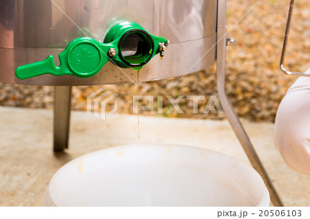 Beekeeper filling honey out of extractor 20506103
