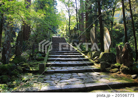 大雄山最乗寺 石段 大雄山最乗寺 石段 20506775