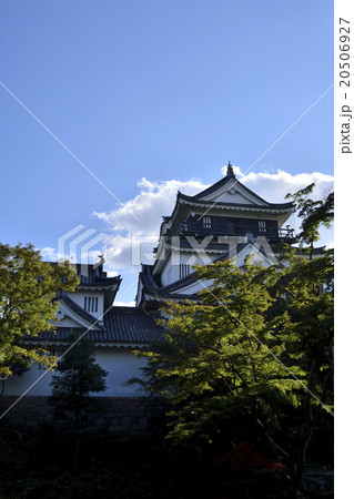 岡崎城 天守閣 岡崎城 天守閣 20506927
