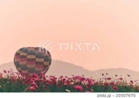 Colorful hot air balloon is flying at sunset. 20507670