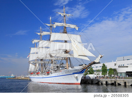 日本丸セイリドリル 20508305