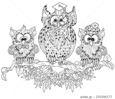 Old Owl  on tree branch with small owls. 20508377
