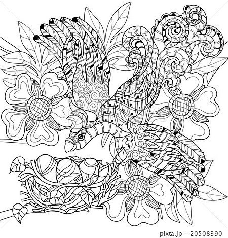 Zentangle sketch bird on nest. Hand Drawn doodle. 20508390