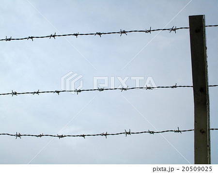 ばら線の写真素材