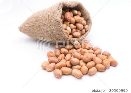Peanut in Gunny Bag on white background 20509999