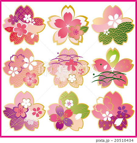 桜和 和柄のイラスト素材