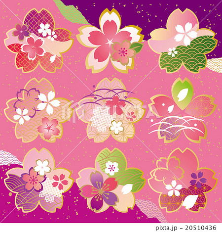 桜和 和柄 ピンクのイラスト素材