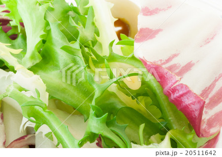 fresh salad fresh salad 20511642