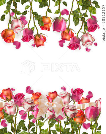 Roses and heart shape Petals. EPS 10 Roses and heart shape Petals. EPS 10 20512157
