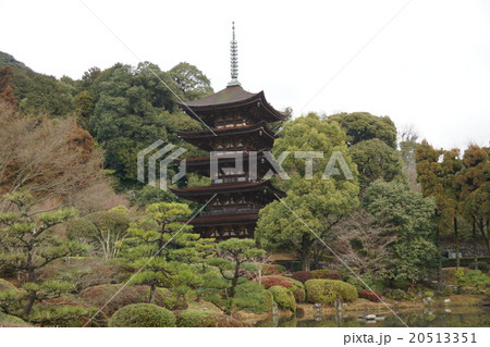 冬の瑠璃光寺五重塔 20513351