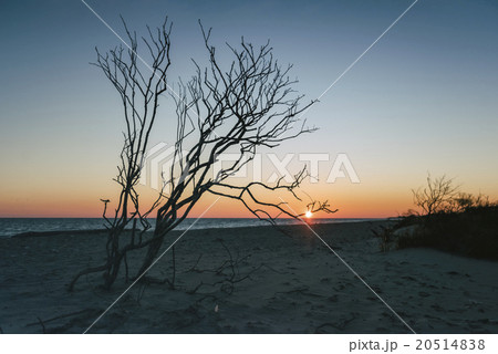 Seascape in Rhode Island Seascape in Rhode Island 20514838
