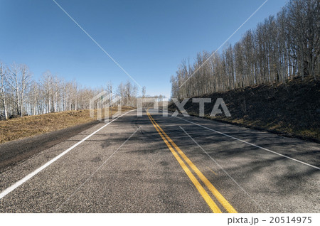 Landscape in Utah 20514975