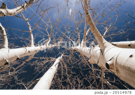 Landscape in Utah 20514978