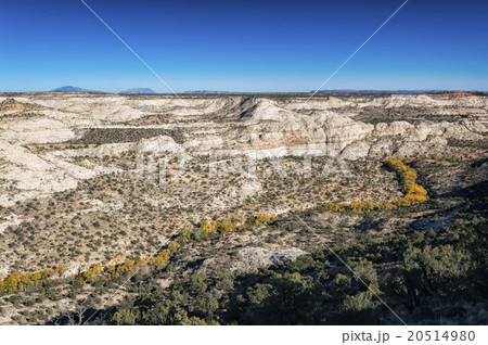 Landscape in Utah Landscape in Utah 20514980