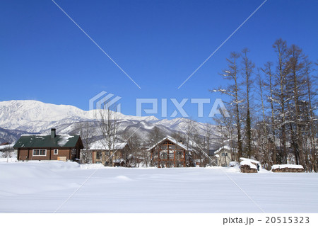 冬の白馬村 20515323