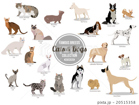 Set of flat sitting or walking cute cartoon dogs 20515358