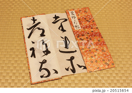 書道 20515654