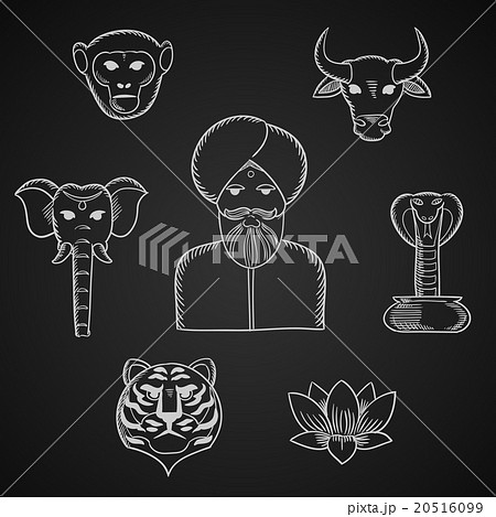 Indian animals and national symbols 20516099