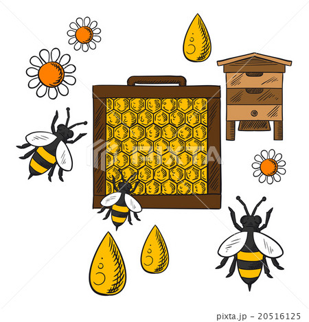 Flat beekeeping concept with beehive and bees 20516125