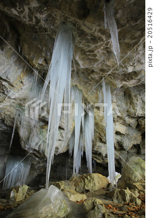 遠野市 仙人観音窟の氷柱 遠野市 仙人観音窟の氷柱 20516429