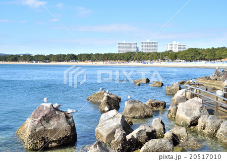 海の公園(横浜市金沢区) 海の公園(横浜市金沢区) 20517010