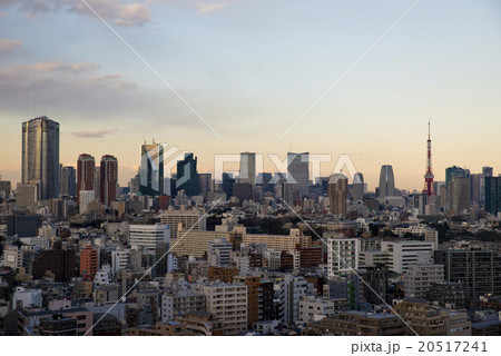 夕暮れの東京　ビル群　東京都　都市 20517241