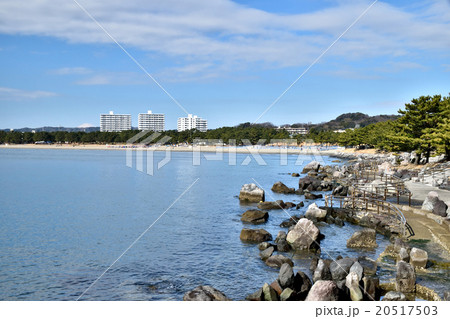 海の公園（横浜市金沢区） 20517503