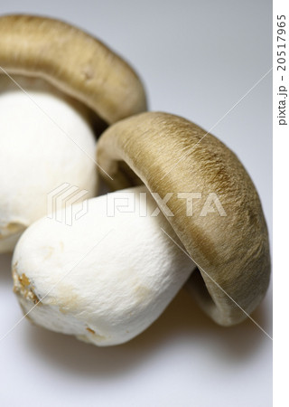 大黒本しめじ 20517965