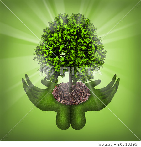the hands of the grass concept of ecology  20518395
