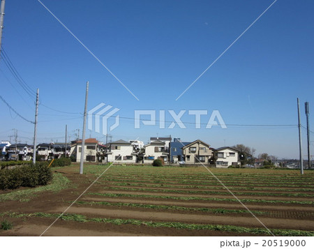田舎の風景 20519000