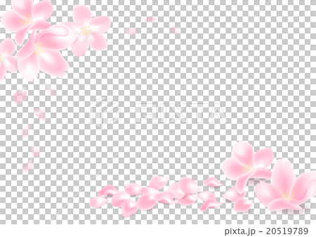 桜の花びらのイラスト素材 5197