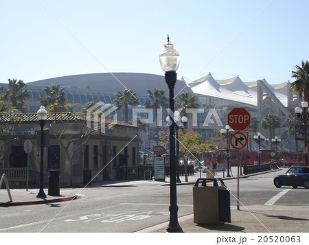 ダウンタウン 20520063