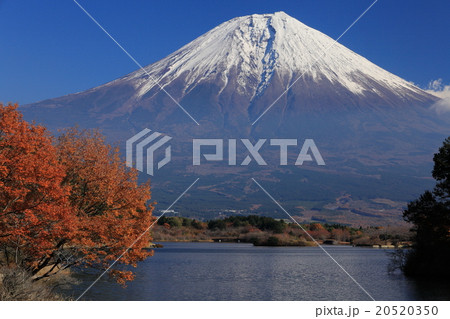 晩秋の田貫湖と富士山の写真素材 [20520350] - PIXTA