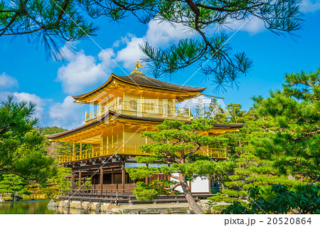 Kinkakuji Temple " The Golden Pavilion" in Kyoto, Japan 20520864