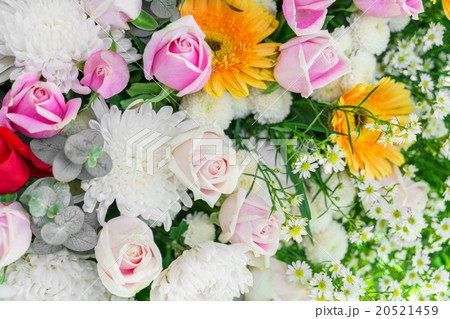 Beautiful flowers for valentines and wedding scene Beautiful flowers for valentines and wedding scene 20521459