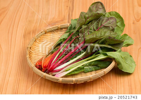 スイスチャード スイスチャード 20521743