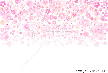 桜 背景素材のイラスト素材