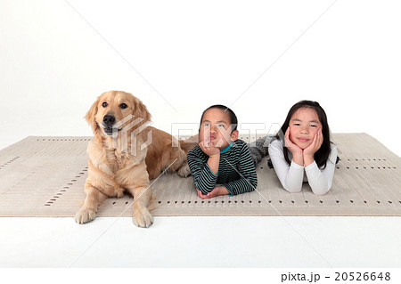 子供達と大型犬 20526648