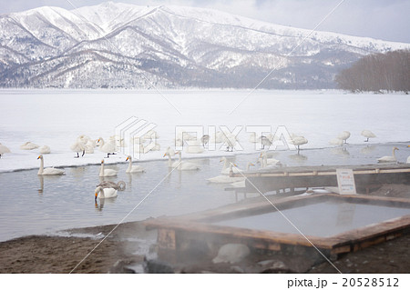 冬の屈斜路湖(砂湯) 冬の屈斜路湖(砂湯) 20528512