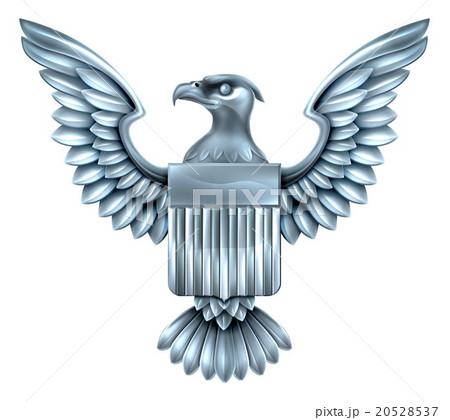Metal American Eagle Shield 20528537