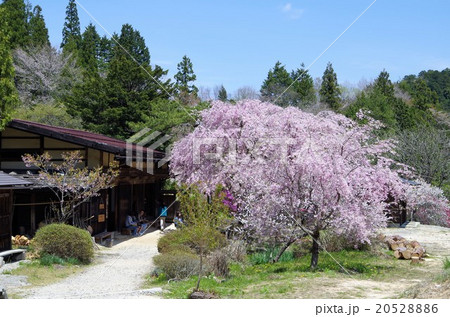 馬籠峠の茶屋 馬籠峠の茶屋 20528886