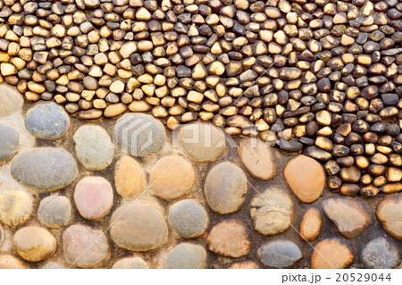 Stone variety puddingstone 20529044