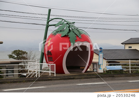 フルーツバス停の写真 20530246