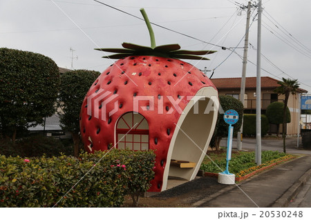 フルーツバス停の写真 20530248