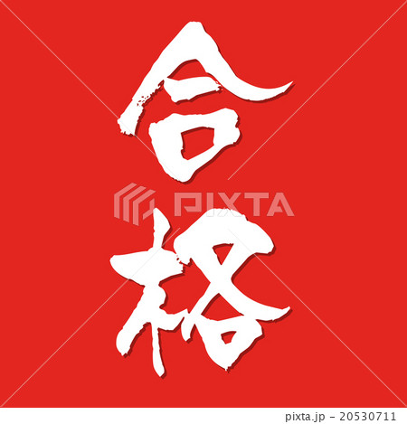 合格 20530711