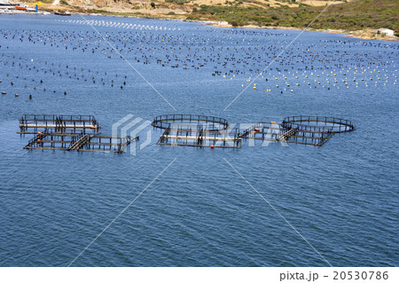 Fish and mussel farm 20530786