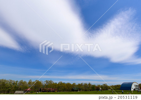 晴天の空遠景あり大空に鳥が羽ばたくような雲を見上げる草原で休日を過ごす家族 蔵王ハートランドの写真素材