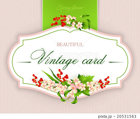 Spring  vintage elegant card with  flowers. Vector 20531563