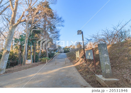 冬の臼井城址の風景 20531946