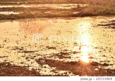 sunset reflected sunset reflected 20533969